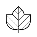 IVY