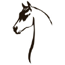 Centre Equestre Centre Equestre
