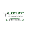 Pecuar