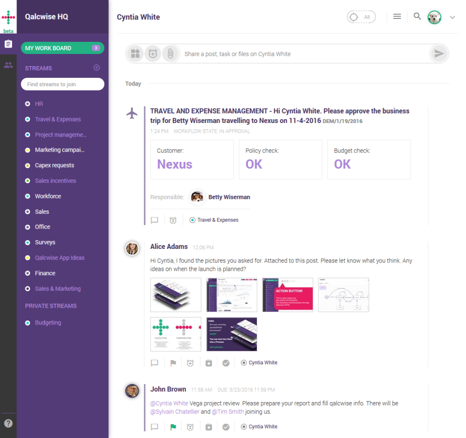 qalcwise-screenshot-2 qalcwise-screenshot-2