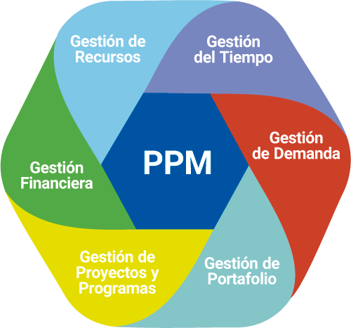 SoftExpert PPM - Captura de tela 8