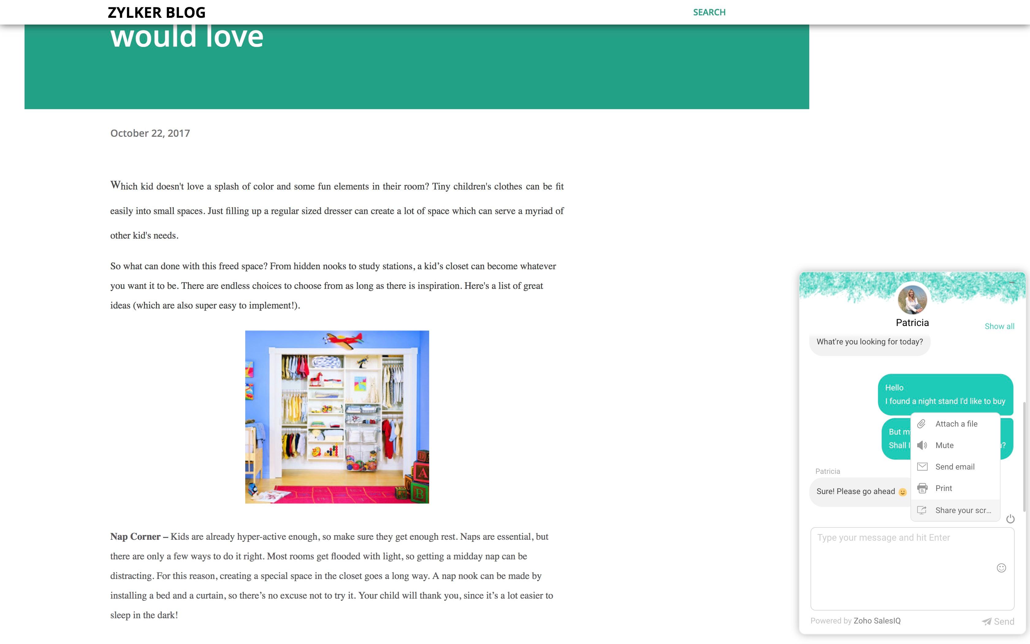 Zoho SalesIQ-ZSIQ chat window