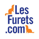 Les furets Les furets