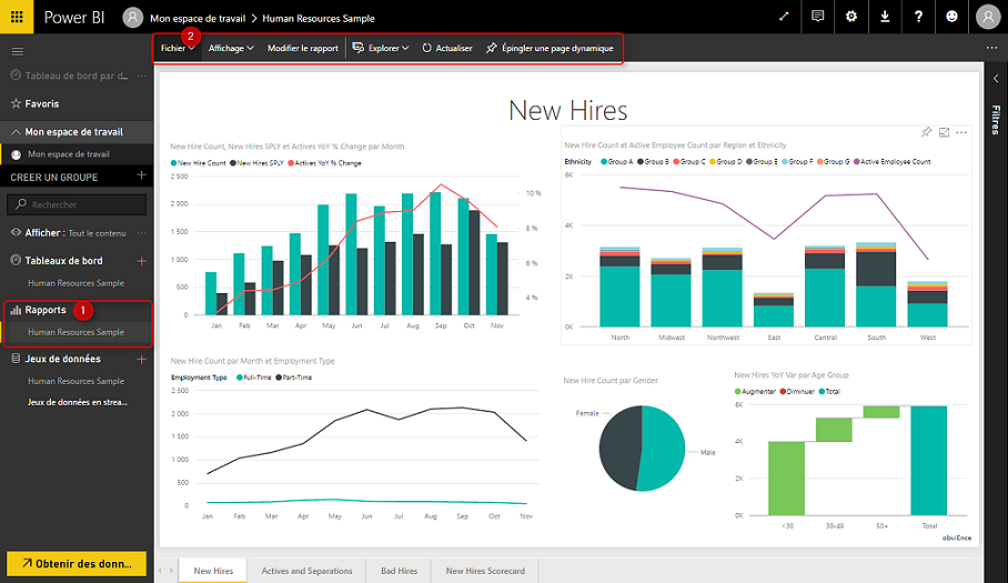 Rapports sur Power BI Rapports sur Power BI