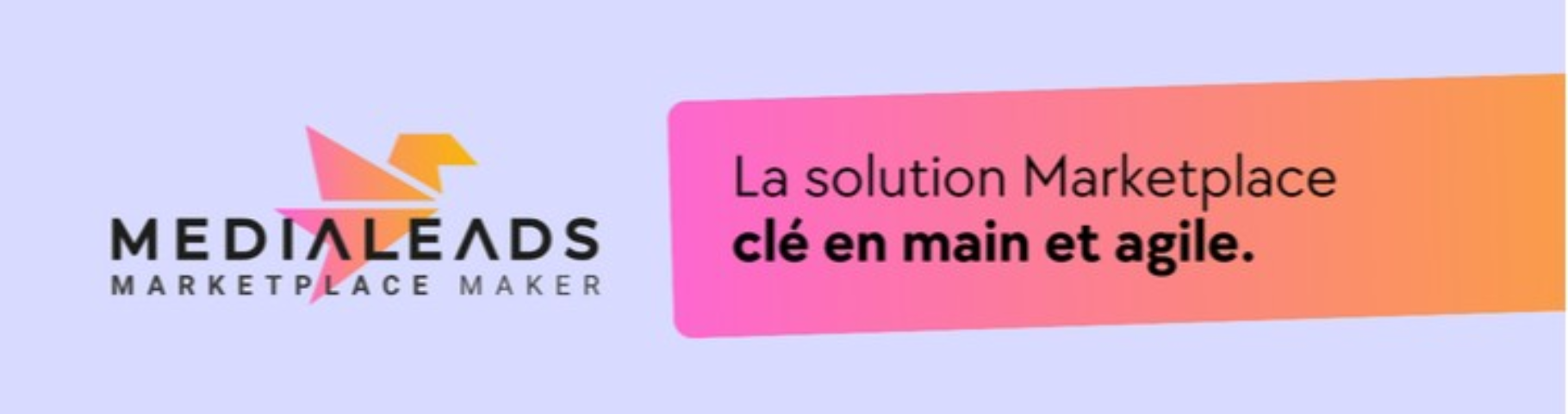 Avis Medialeads : Développement de marketplaces et de solutions sur-mesure - Appvizer