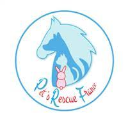 Association Pet's Rescue France Association Pet's Rescue France