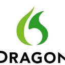 Dragon Professional