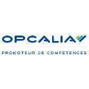TeamBrain-Opcalia TeamBrain-Opcalia