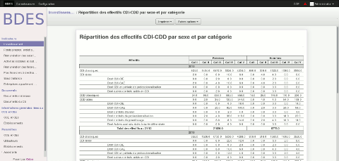 Anybox - Tableau d'évolution et de répartition des effectifs par année et par catégorie professionnelle