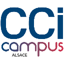 Datalumni-logo_ccicampus_quadri Datalumni-logo_ccicampus_quadri