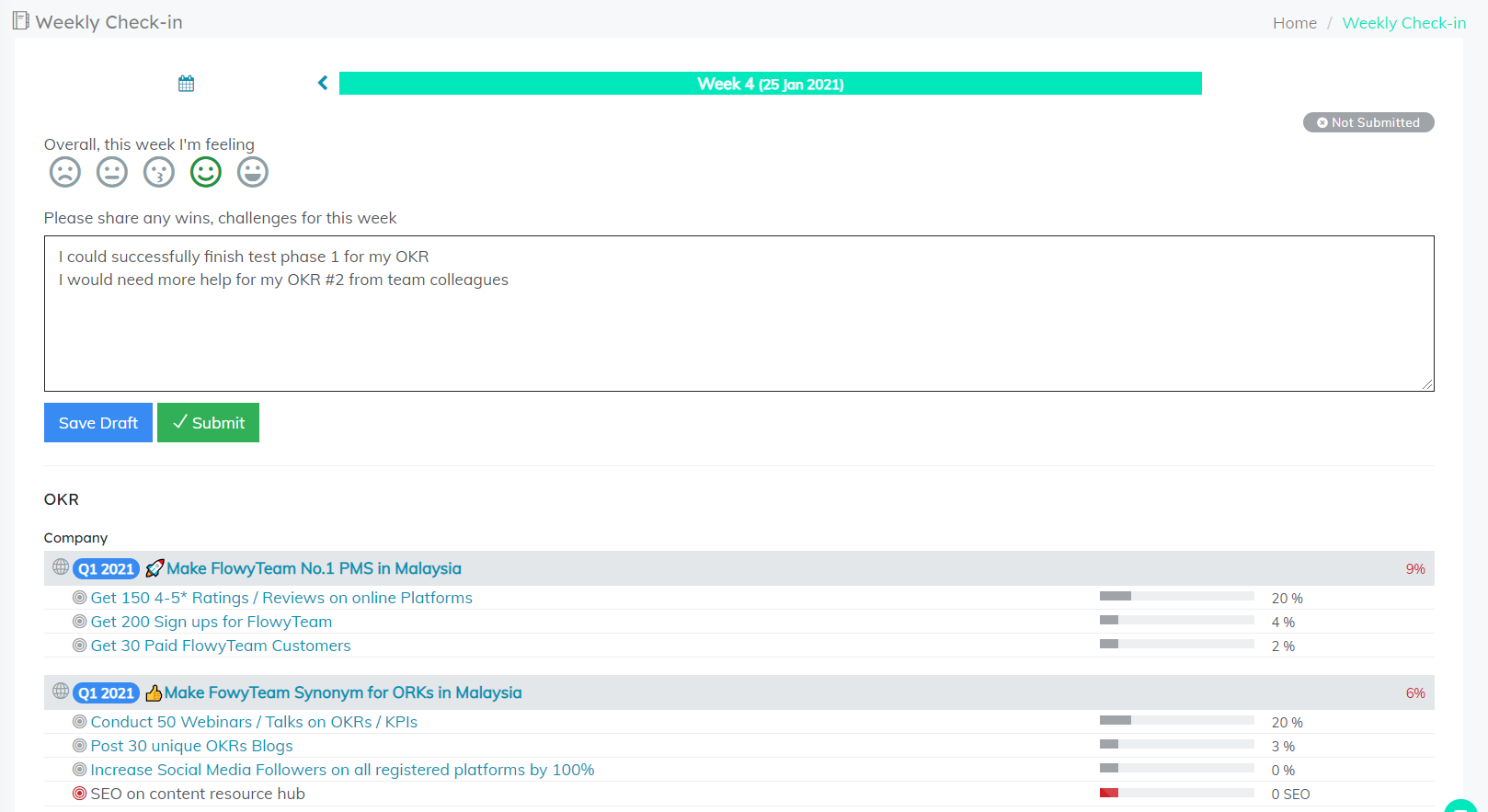 FlowyTeam-weekly check in FlowyTeam-weekly check in