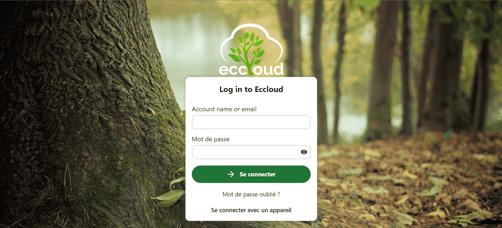 Eccloud-Capture (2)