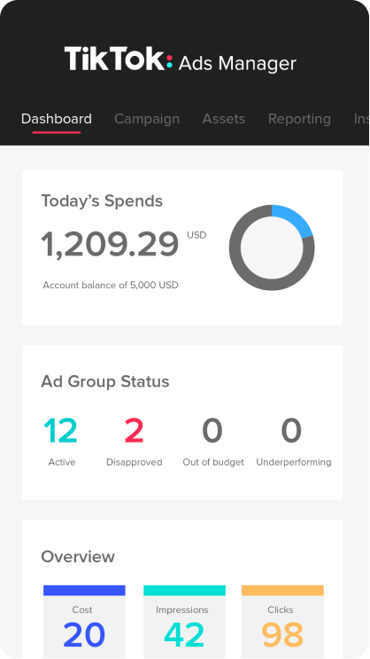 TikTok for Business - Screenshot 2