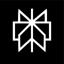 Perplexity AI logo