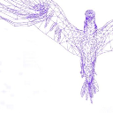 Falcon 40B logo