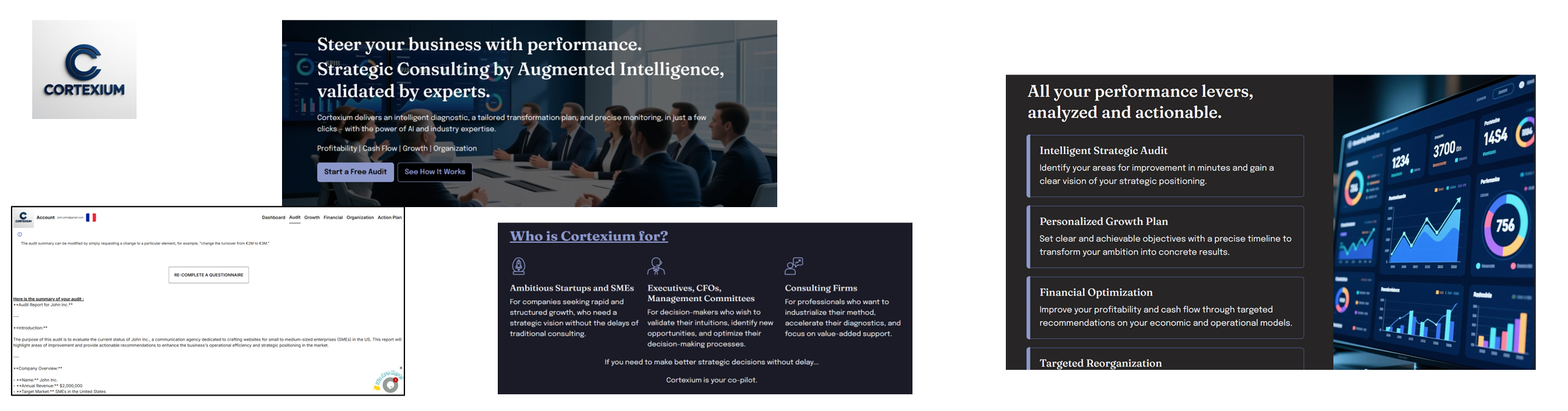 CORTEXIUM : Strategic Consulting Platform for Augmented Intelligence