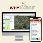 WHY Mobile - Présentation WHY Mobile