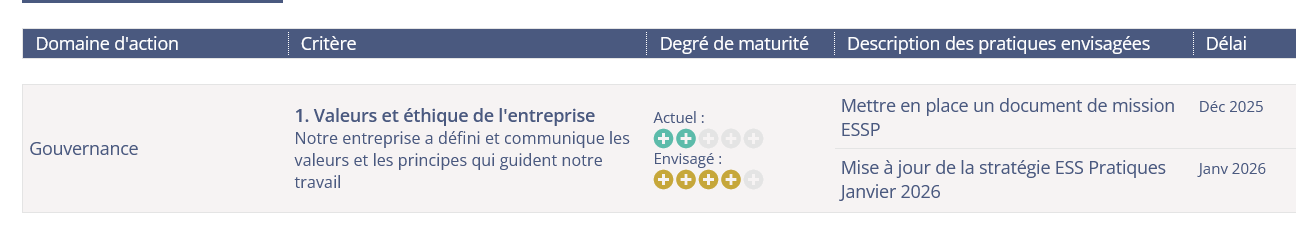 ESS Pratiques - Plan d'action