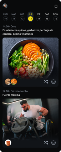 INDYA Software - App móvil de seguimiento del cliente. Vista día