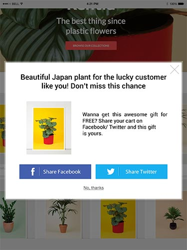 Beeketing-screenshot-1 Beeketing-screenshot-1
